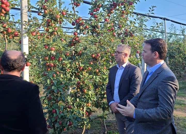 Ministri Faton Peci vizitoi kultivuesit e mollës  