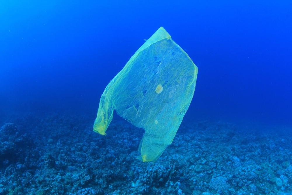 WWF mirëpret fillimin e bisedimeve për një traktat global për plastikën