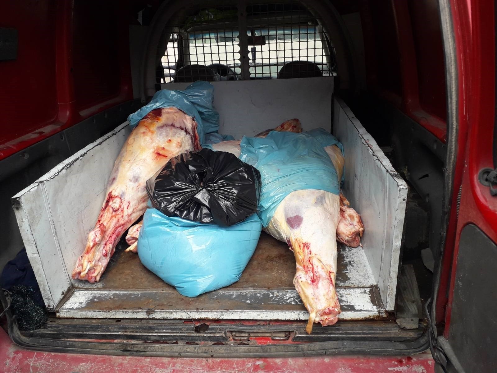 Policia arreston një person për transportim të mishit në kushte jo higjienike