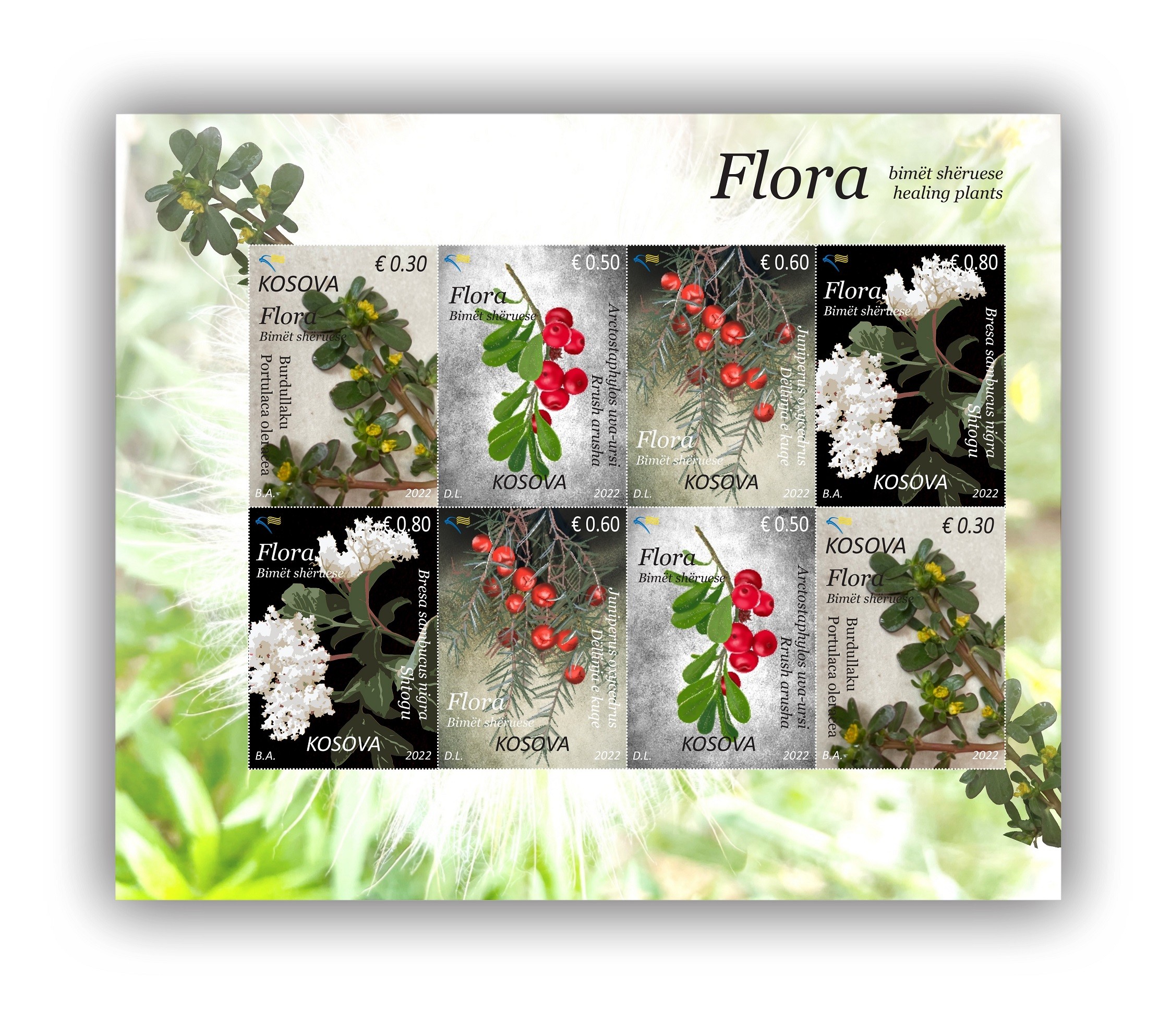 Posta lasnon pullat postare “Flora - Bimët shëruese”