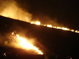 Shkaktohen zjarre në rajonin e Pejës