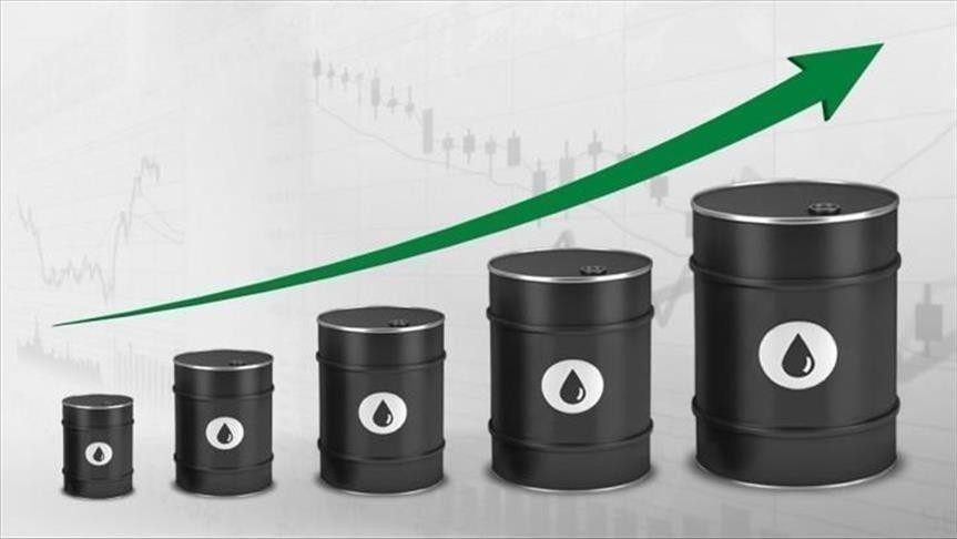 Rritet çmimi i naftës pas vendimit të OPEC 